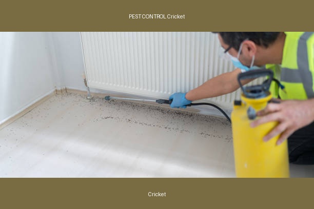 PEST CONTROL Cricket